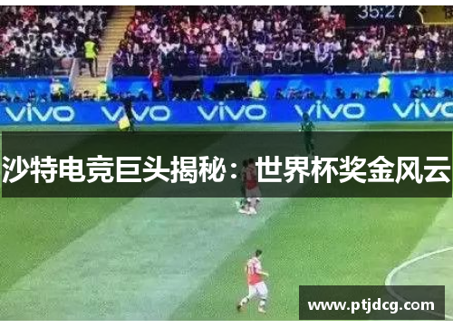 沙特电竞巨头揭秘：世界杯奖金风云